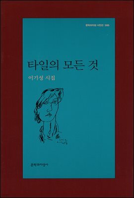 타일의 모든 것 - 문학과지성 시인선 385