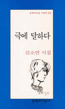 극에 달하다 - 문학과지성 시인선 192