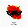 Typhoon - White Lighter (Ltd. Ed)(Download Code)(LP)