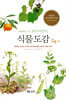 식물 도감: 세밀화로 그린 보리 어린이 도감