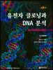 유전자 클로닝과 DNA분석