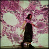 Soccer Mommy - Sometimes, Forever (CD)