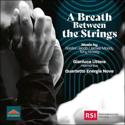 Gianluca Littera / Quartetto Energie Nove 하모니카와 현악사중주를 위한 오리지널 음악 (A Breath Between The Strings)