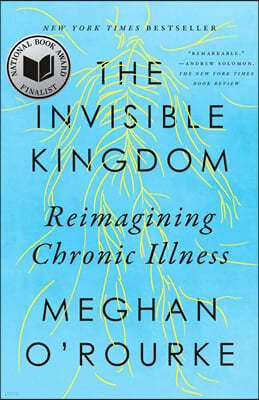 The Invisible Kingdom: Reimagining Chronic Illness