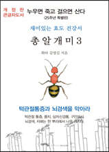 총알개미 3 (큰글자도서)