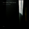 Mark Turner & Ethan Iverson - Temporary Kings (180g LP)