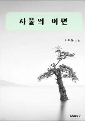 사물의 이면