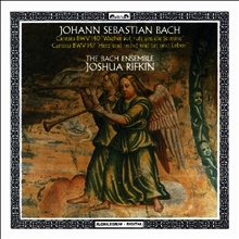 바흐: 칸타타 140 & 147번 (Bach: Cantata No.140 & 147) (일본 타워레코드 독점 한정반)(CD) - Joshua Rifkin