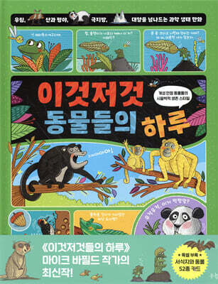 이것저것 동물들의 하루