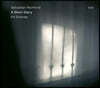 Sebastian Rochford / Kit Downes (세바스천 로치포드 / 킷 다운스) - A Short Diary