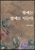 열매는 밤에도 익는다