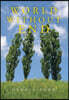 World Without End