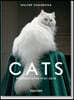 Walter Chandoha. Cats. Photographs 1942-2018