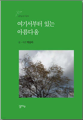 여기서부터 있는 아름다움