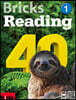 Bricks Reading 40 1