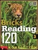 Bricks Reading 120 Nonfiction 3