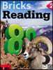 Bricks Reading 80 2