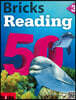 Bricks Reading 50 3