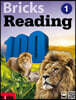 Bricks Reading 100 1