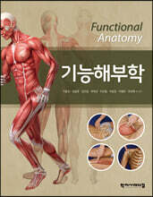 기능해부학