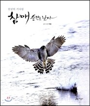 참매 순간을 날다