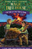 Time of the Turtle King