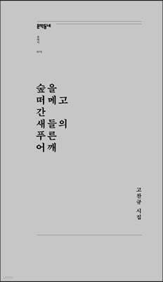 숲을 떠메고 간 새들의 푸른 어깨