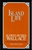 Island Life
