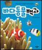 바다 동물 모형과 함께 배우는 바다 동물 백과