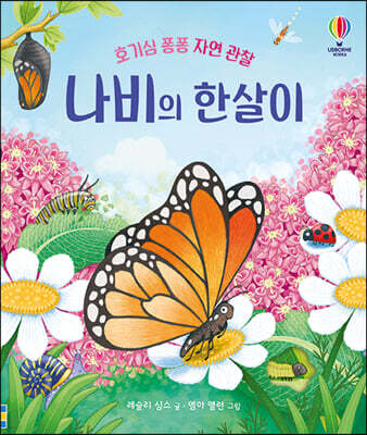 나비의 한살이