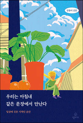우리는 마침내 같은 문장에서 만난다