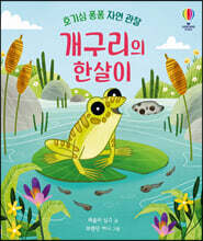개구리의 한살이