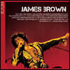 James Brown (제임스 브라운) - Icon