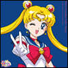 미소녀 전사 세일러문 30주년 기념 메모리얼 앨범 (Pretty Guardian Sailor Moon: The 30th Anniversary Memorial Album) [핑크 컬러 2LP]