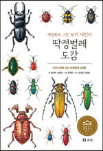 딱정벌레 도감