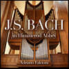 Adriano Falcioni 힘메로트 수도원의 J.S. 바흐 (J.S. Bach in Himmerod Abbey)