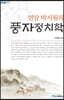 풍자정치학 (큰글자도서)