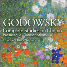 Leopold Godowsky 고도프스키: 쇼팽의 에튀드에 대한 연습곡 전곡 외 (Godowsky: Complete Studies on Chopin, Passacaglia, Transcriptions)