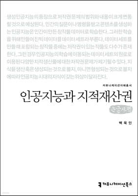 인공지능과 지적재산권 (큰글자책)