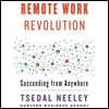 Remote Work Revolution: Succeeding from Anywhere