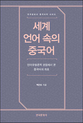 세계 언어 속의 중국어