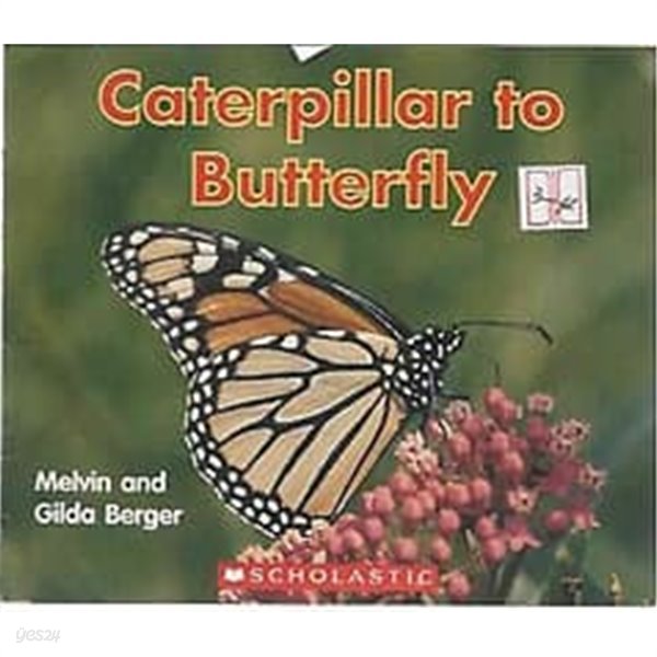 Caterpillar to Butterfly (Scholastic Readers Time-to-Discover)