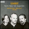 Lars Vogt  / Christian & Tanja Tetzlaff  슈베르트: 피아노 트리오 전곡, 노투르노, 론도, 아르페지오 소나타 (Schubert: Works for Piano Trio & Arpeggione Sonata)