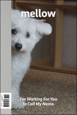 Mellow Dog Volume 6 멜로우 매거진