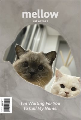 Mellow Cat Volume 6 멜로우 매거진
