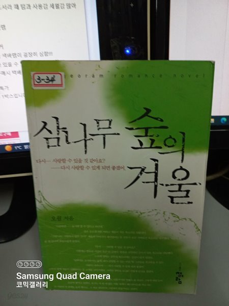 삼나무 숲의 겨울