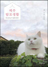 제주탐묘생활