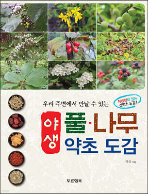 우리 주변에서 만날 수 있는 야생 풀·나무 약초 도감