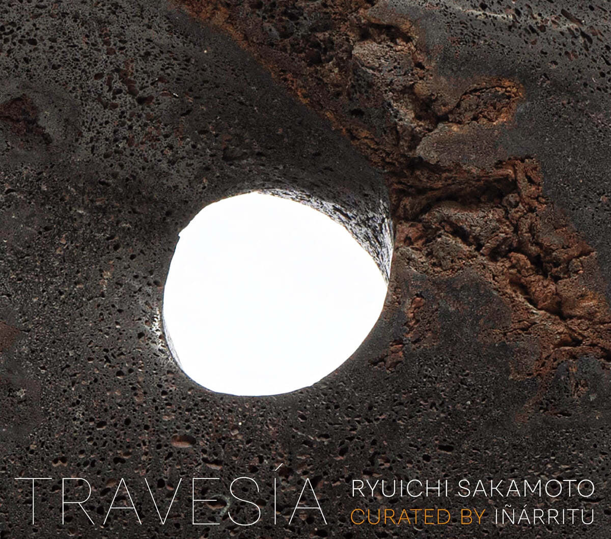 Ryuichi Sakamoto (류이치 사카모토) - Travesia Ryuichi Sakamoto Curated By Inarritu