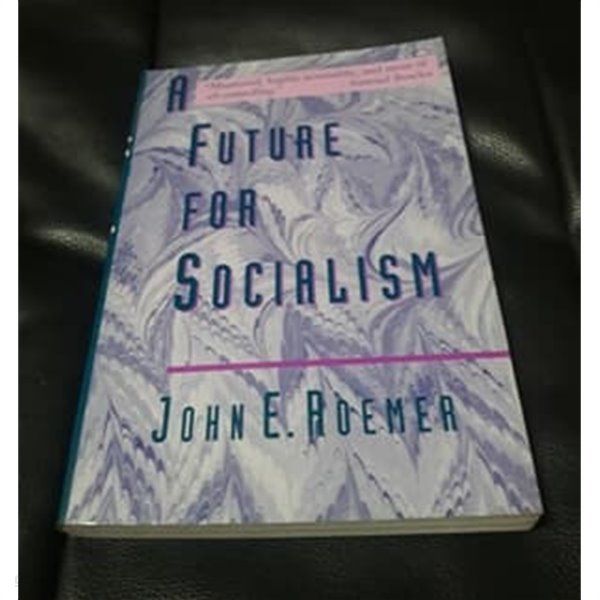 A Future for Socialism 